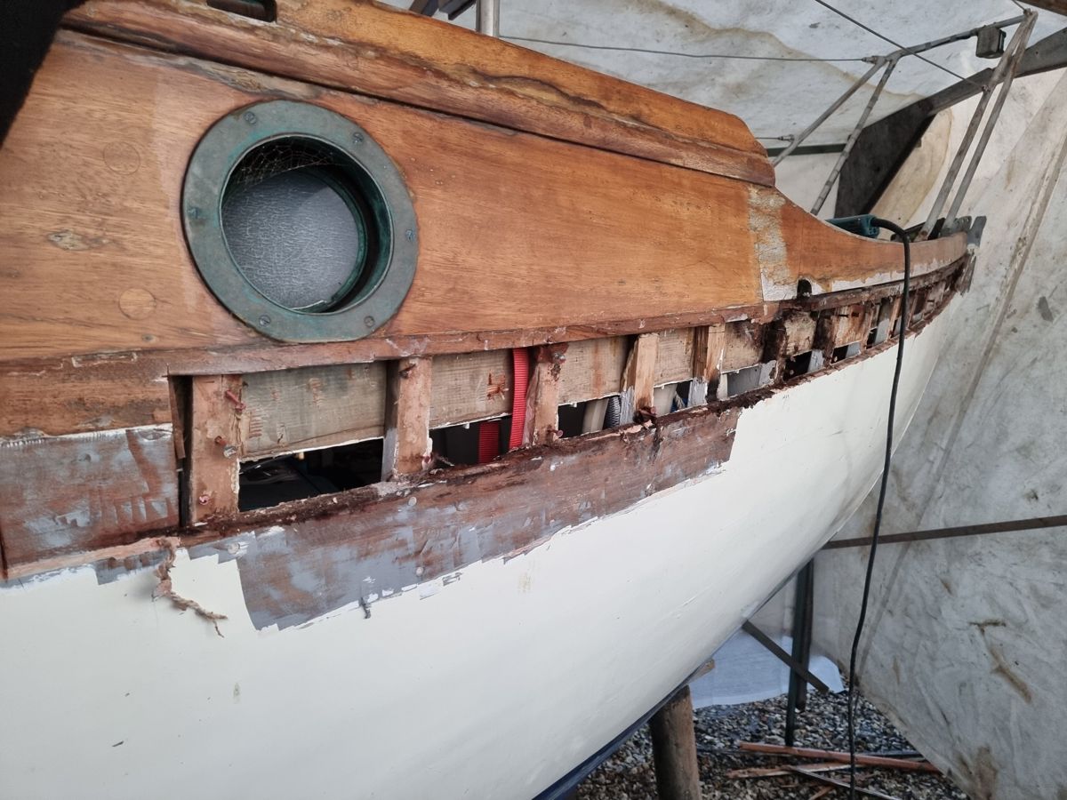 Carvel hull below a varnished cabin side with the decayed sheer plank removed, exposing the frames