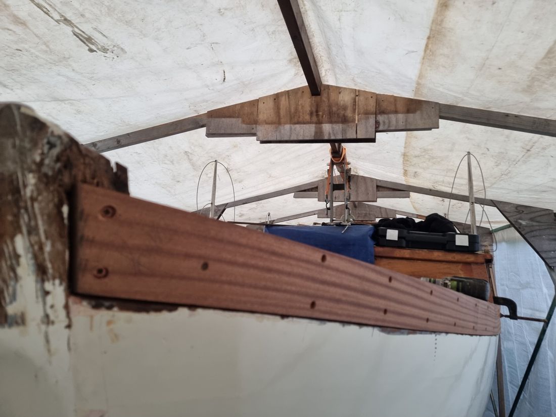 New mahogany sheer strake fitted along the hull, drilled ready for fastening, under a temporary cover