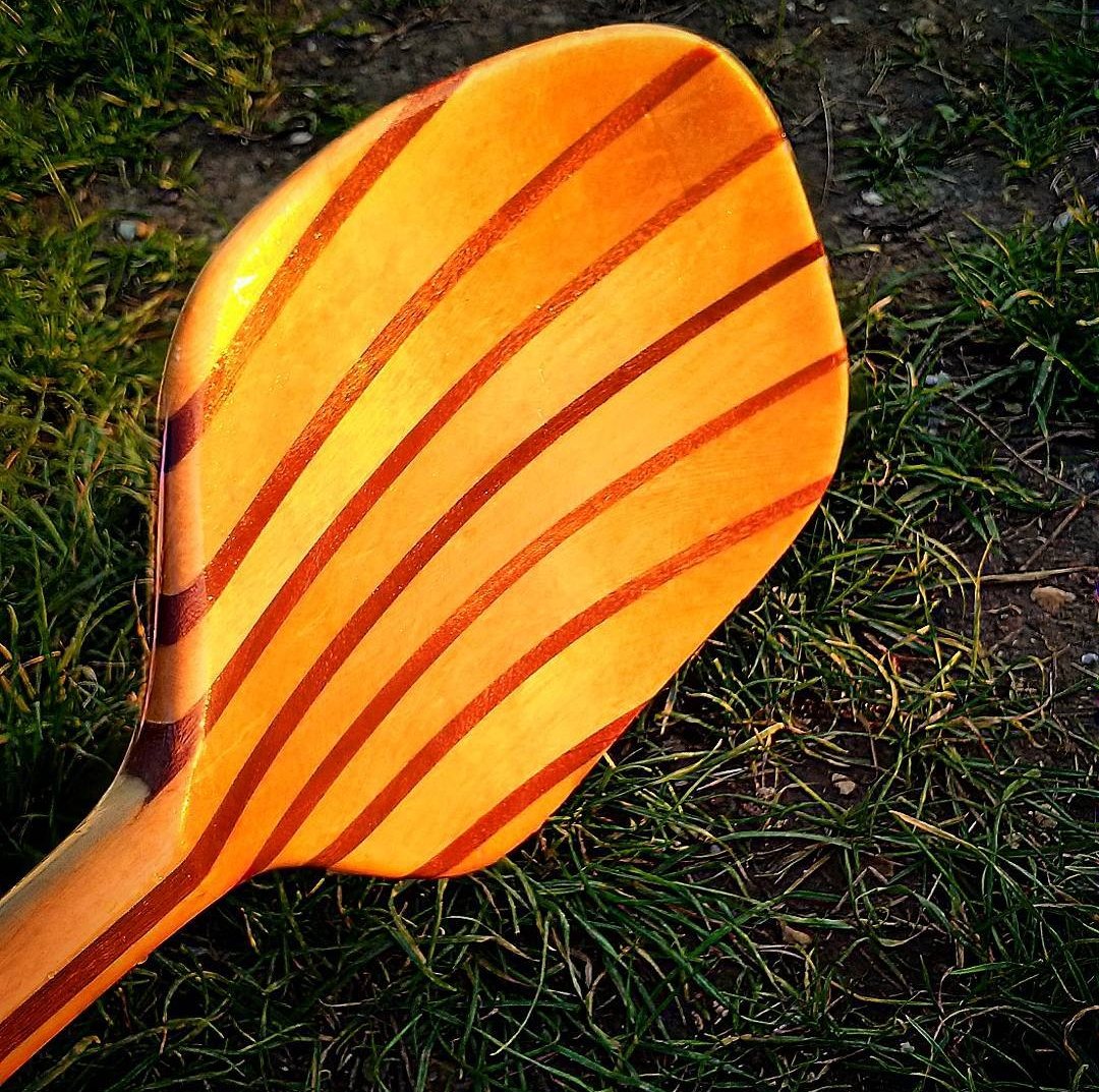 Hand-made paddle blade striped in pale Sitka spruce and dark sapele, glowing in low sun on grass